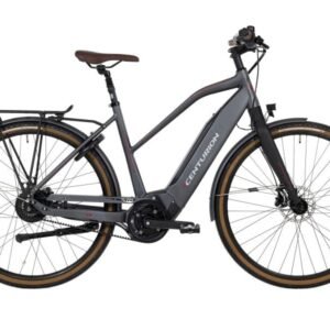 Centurion Invincible E Grey - Elcykel - 2025